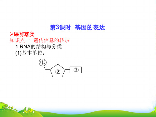 【高考调研】高考生物一轮复习 23 基因的表达课件 新人教必修2