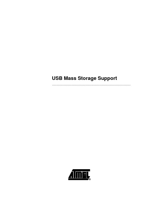 USB Mass Storage Support用户指南说明书