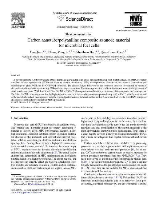 Carbon nanotube-polyaniline composite as anode material