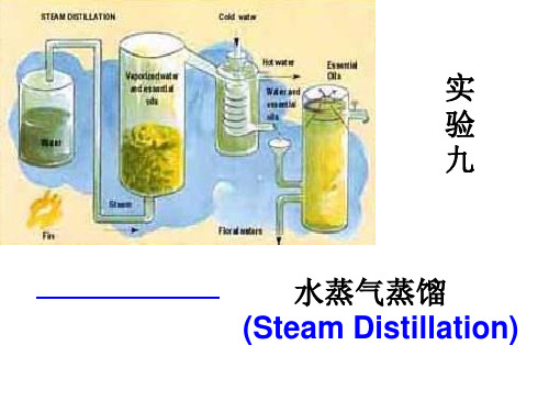 水蒸气蒸馏_橙皮中柠檬烯的提取