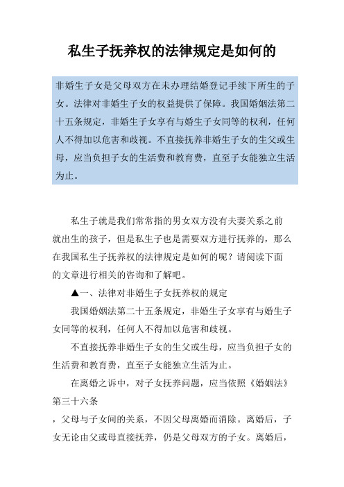 私生子抚养权的法律规定是如何的