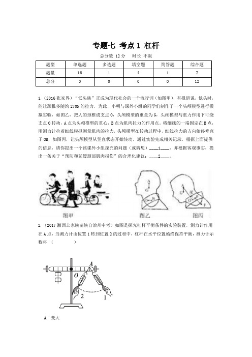 中考物理 考点15杠杆