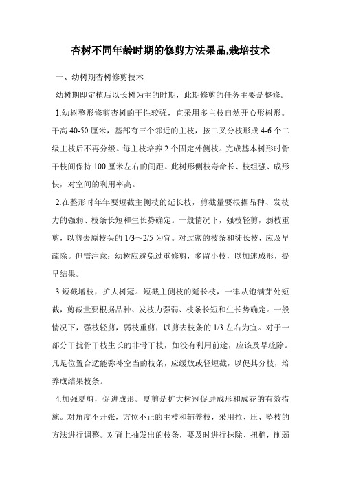 杏树不同年龄时期的修剪方法