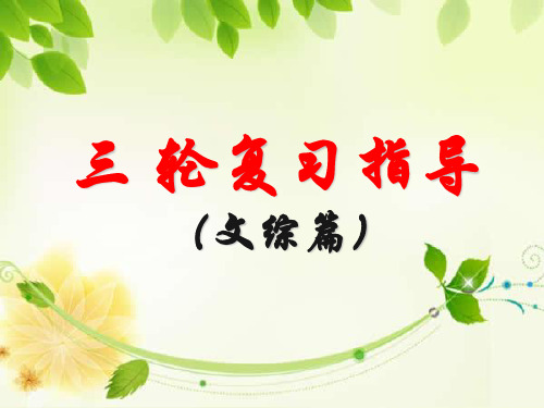 高考第三轮复习指导(文综)