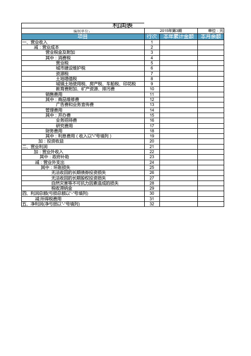 资产负债表_利润表模板