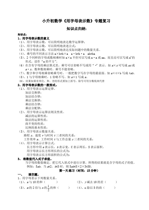 小升初用字母表示数全面练习天