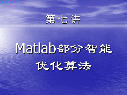 第7讲matlab部分智能优化算法