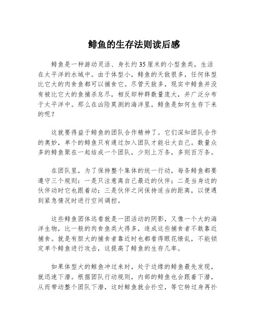 鲱鱼的生存法则读后感