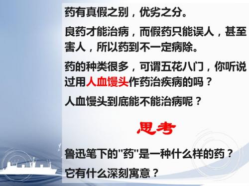 高中语文《药》PPT132