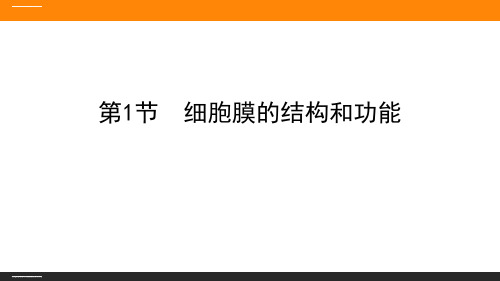 《细胞膜的结构和功能》细胞的基本结构PPT课件优秀课件