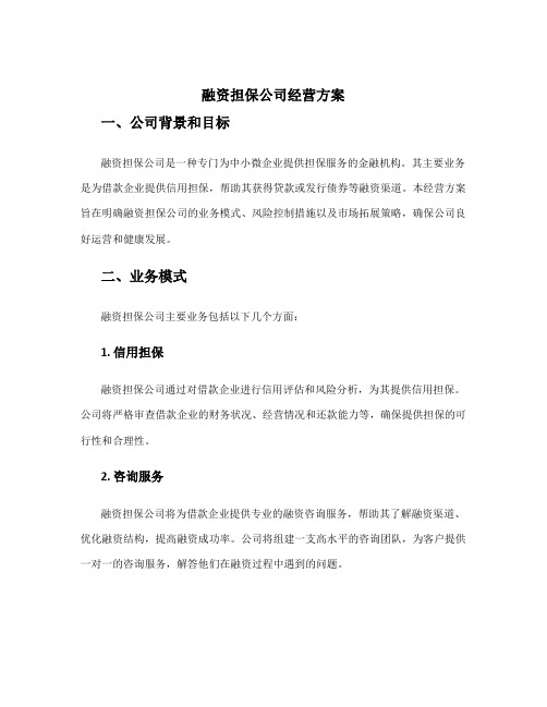 融资担保公司经营方案