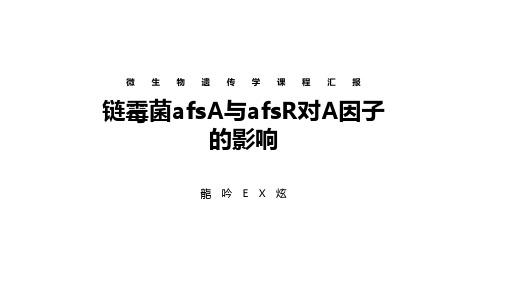 链霉菌afsA与afsR对A因子的影响