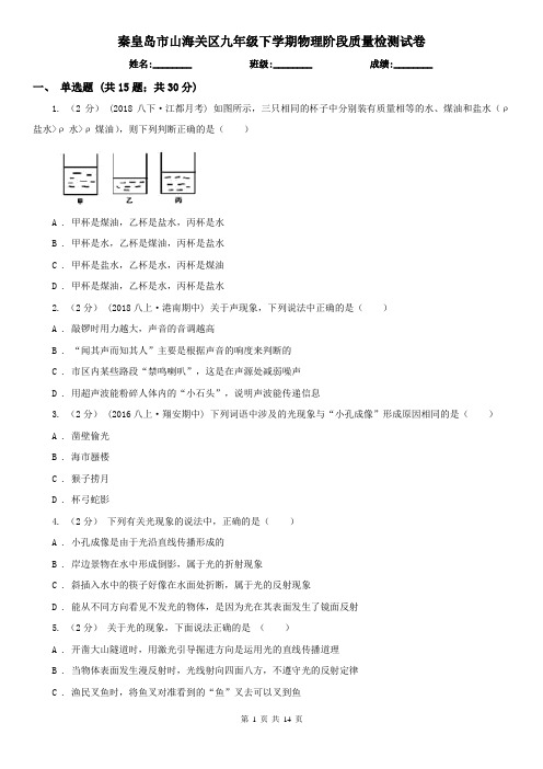 秦皇岛市山海关区九年级下学期物理阶段质量检测试卷