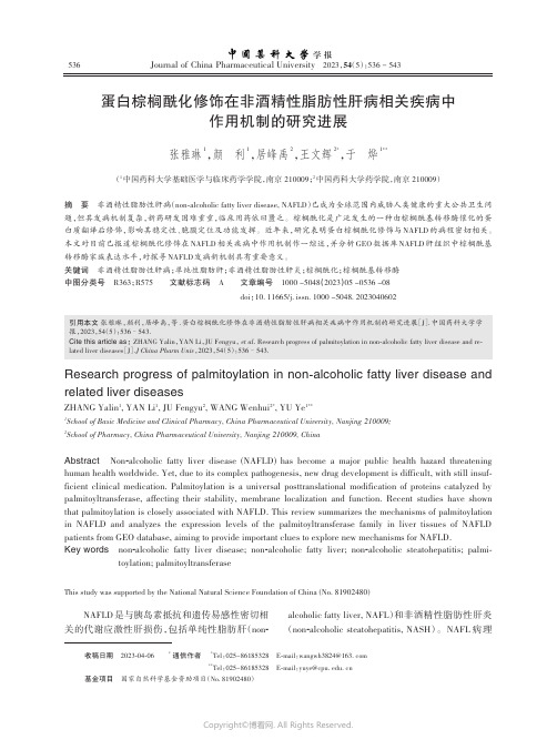 蛋白棕榈酰化修饰在非酒精性脂肪性肝病相关疾病中作用机制的研究进展