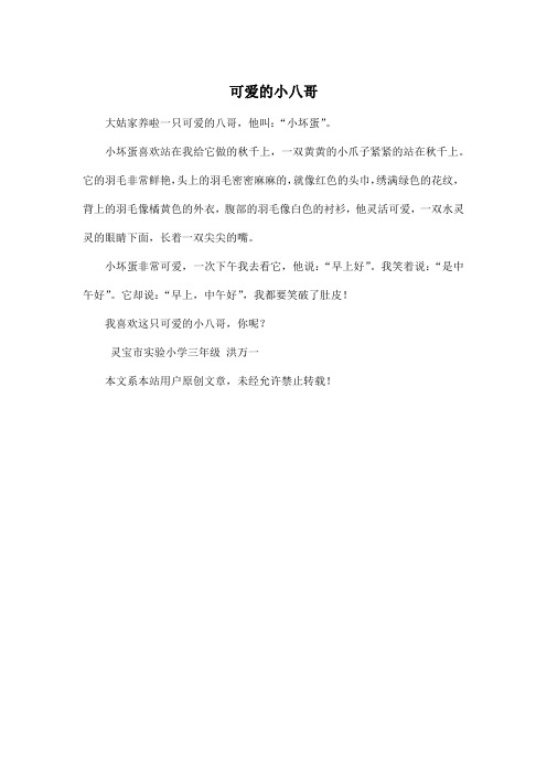 可爱的小八哥_小学四年级作文200字