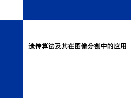 遗传算法及其在图像分割中的应用PPT课件