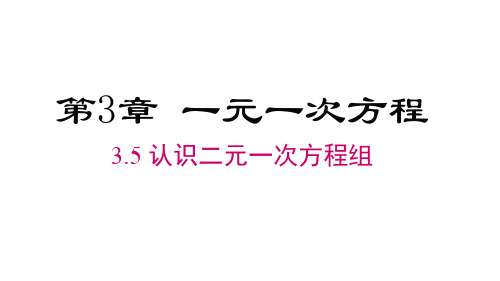 2024年湘教版七年级数学上册 3.5  认识二元一次方程组(课件)