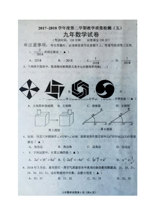 辽宁省抚顺市新宾县2018届九年级教学质量检测(五)数学试题(图片版)