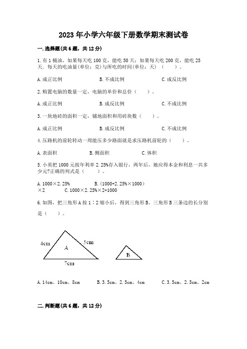 2023年小学六年级下册数学期末测试卷及参考答案(完整版)