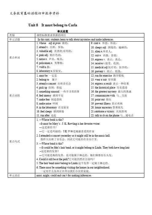 人教版九年级英语全册导学案Unit 8 It must belong to Carla.(学案3)