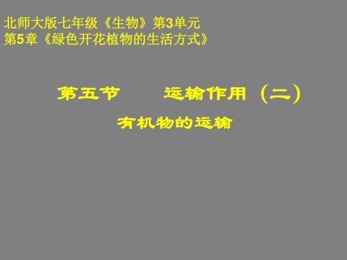 高中生物运输作用(二)——有机物的运输PPT精选课件 北师大版