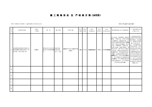 七台河轻烃项目10月份动态月报表