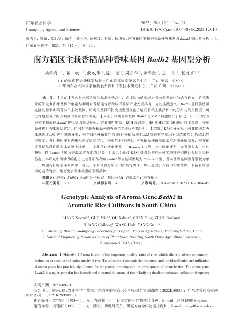 南方稻区主栽香稻品种香味基因Badh2基因型分析