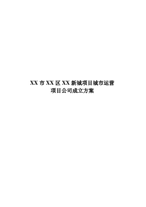 项目公司成立方案