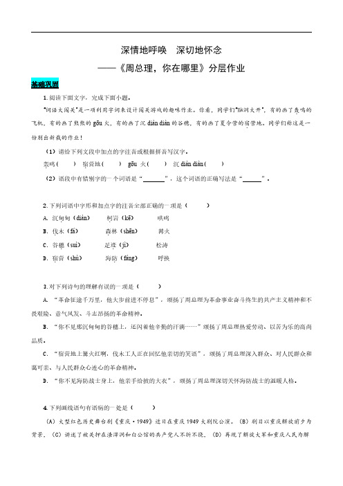 深情地呼唤 深切地怀念——周总理,你在哪里(分层作业)(学生版)-2025学年九年级语文上册同步课堂