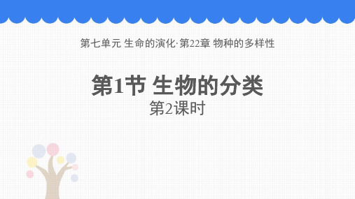 最新北师大版初中八年级生物下册《生物的分类》精品教学课件