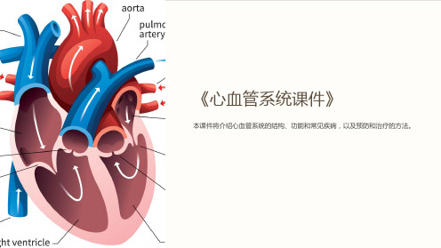 《心血管系统课件》