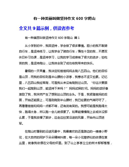 有一种美丽叫做坚持作文600字爬山