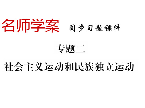 九年级历史下册岳麓版同步习题课件：专题二(共32张PPT)