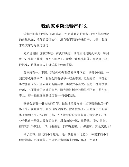 我的家乡陕北特产作文