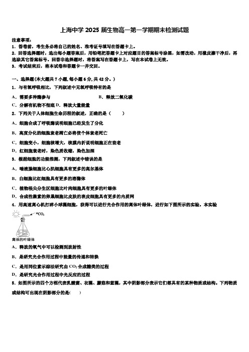 上海中学2025届生物高一第一学期期末检测试题含解析