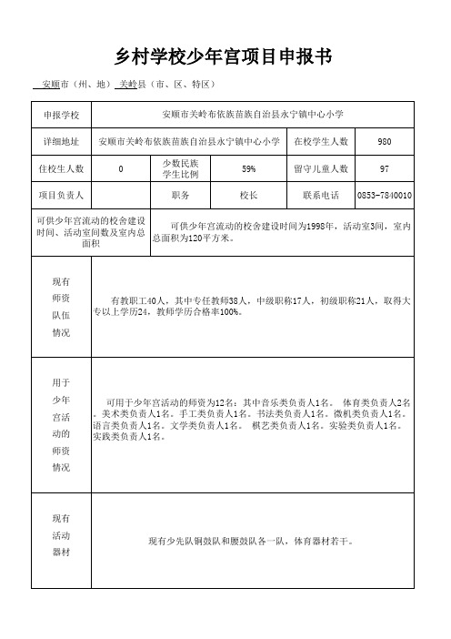 乡村学校少年宫项目申报书及实施方案