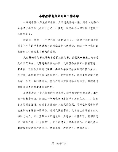 小学数学老师见习期工作总结(四篇)