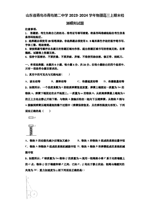 山东省青岛市青岛第二中学2023-2024学年物理高三上期末检测模拟试题含解析