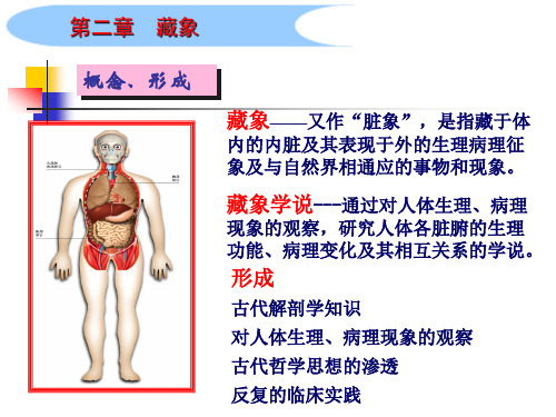 藏象课件PPT课件