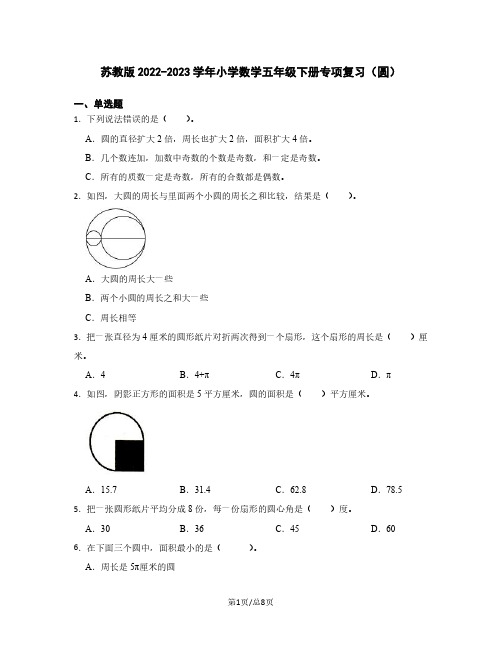 苏教版2022-2023学年小学数学五年级下册专项复习(圆)含解析