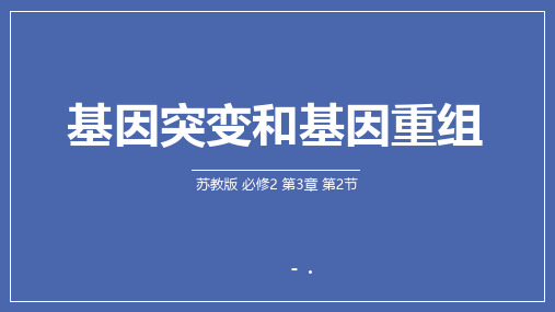 《基因突变和基因重组》基因突变及其他变异PPT教学课件