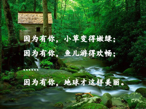 苏教版三年级科学上册《生命离不开水》PPT课件