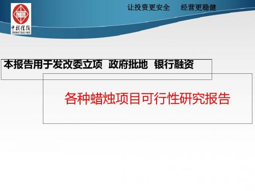 各种蜡烛项目可行性研究报告-精品文档