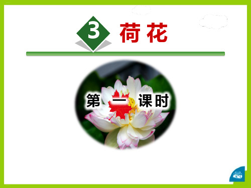 《荷花》PPT(第一课时)(完美版)