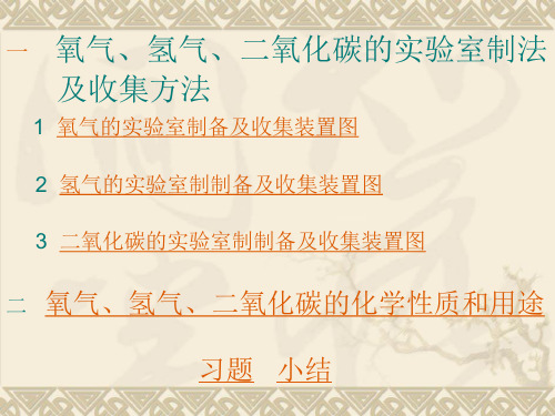 氢气、氧气、二氧化碳的制取和性质