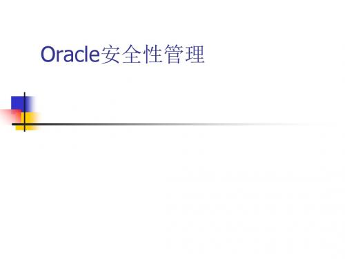 Oracle安全性管理(PPT 49张)