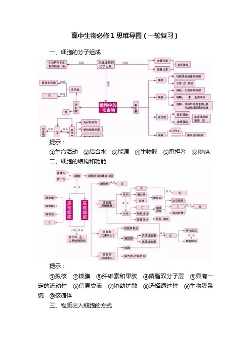 高中生物必修1思维导图（一轮复习）