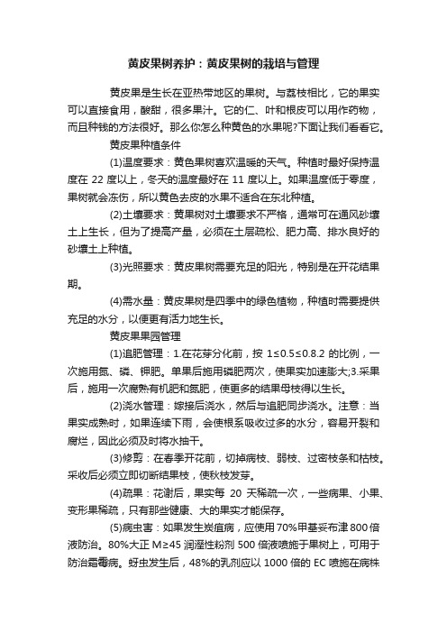 黄皮果树养护：黄皮果树的栽培与管理