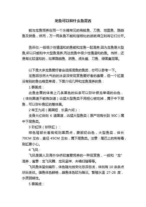 龙鱼可以和什么鱼混养