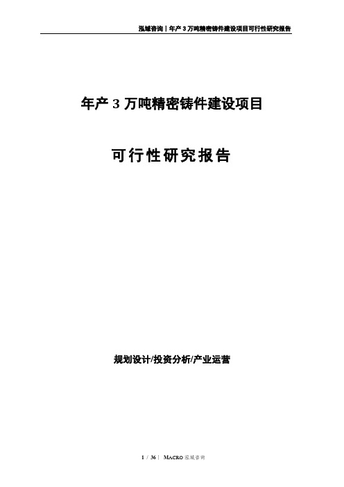 年产3万吨精密铸件建设项目可行性研究报告